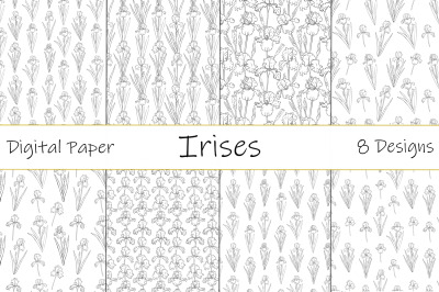 Irises graphics pattern. Flowers graphics pattern. Iris SVG