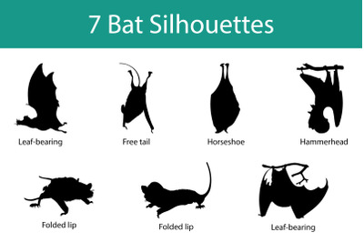 Bat Silhouettes Set