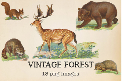 Vintage Forest Animals Clipart