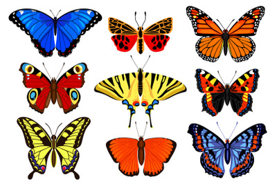 Cartoon butterflies. Flying colorful insects&2C; spring butterfly moth in