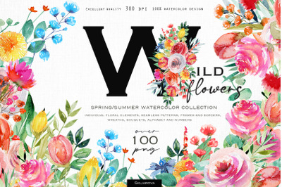 Wild flowers watercolor collection