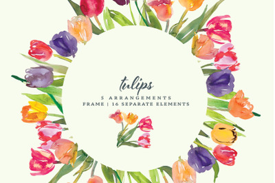 Watercolor Tulip Clipart Collection