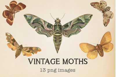 Vintage Moths Clipart