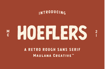 Hoeflers Rough Sans Font