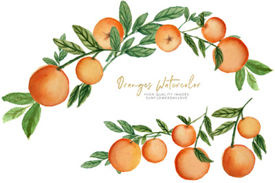 Cutie Orange Citrus Clipart&2C; Orange Summer Elements Clipart