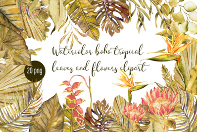 Watercolor tropical boho floral clipart. Flowers and leaves, pampas