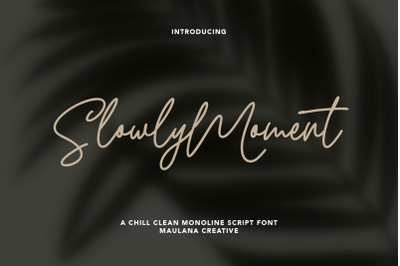 Slowly Moment Clean Monoline Script Font