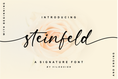 Steinfeld a Handwritten Script Font