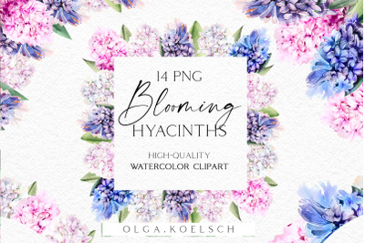 Watercolor Spring Flowers clipart. Pink and blue hyacinth floral frame