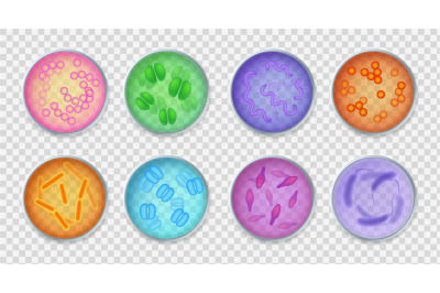 Bacteria gram. Realistic top view petri dishes with different microorg