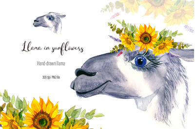 Watercolor Llama Clipart - llama face clip art