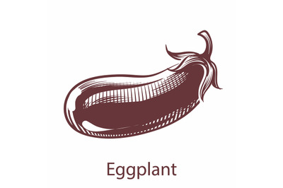 Eggplant hand drawn icon. Botanical vegetable vector illustration in e