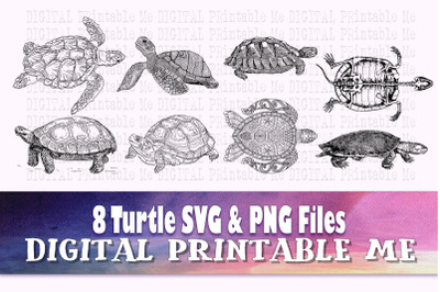 Turtle Illustration SVG bundle clip art pack PNG 8 Images&2C; Pack&2C; torto