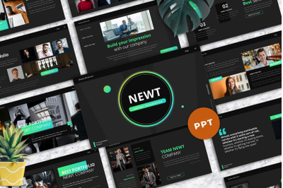 Newt - Company Profile Powerpoint Templates