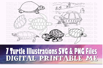 Turtle Illustration SVG bundle clip art pack PNG 7 Images&2C; Pack&2C; torto