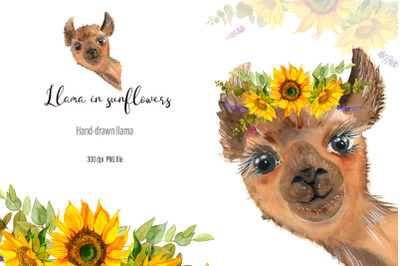 Watercolor portrait Lama Clipart - Sublimation designs