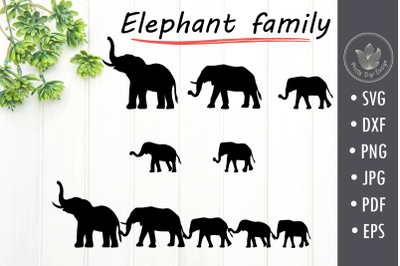 Elephant family holding tails svg cut file