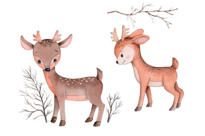 Two baby deers. Watercolor sketch.