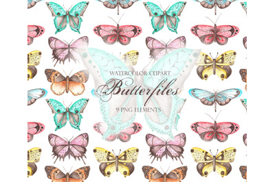 Butterflies and dragonflies watercolor clipart. Insects clipart.