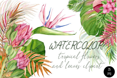 Watercolor tropical clipart, flower and leaves