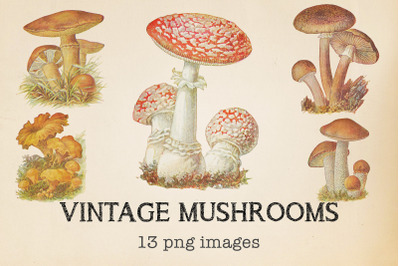 Vintage Mushrooms Clipart