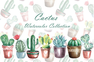 Cacti watercolor clipart. Home plant. Watercolor cacti. Succulent