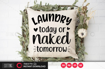 Laundry today or naked tomorrow SVG