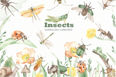 Insects watercolor collection