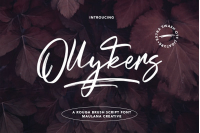 Ollykers Brush Script Font