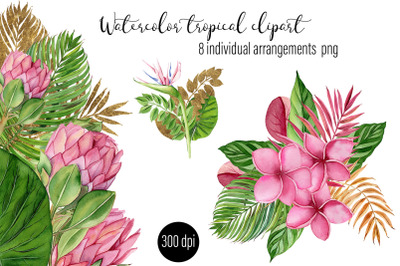 Individual watercolor tropical compositions