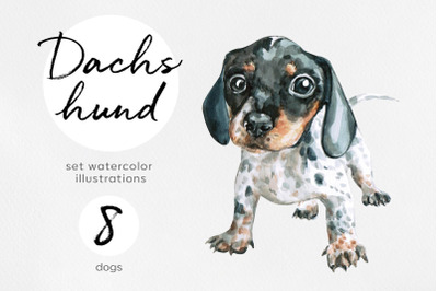 Dachshund. Watercolor dog illustrations. Cute 8 dog