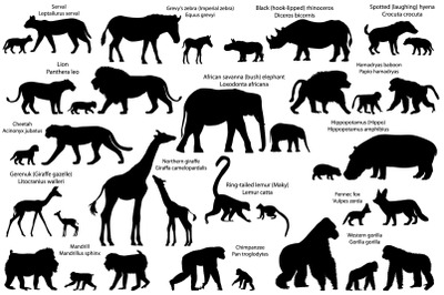 Silhouettes of 16 animal species of Africa with cubs