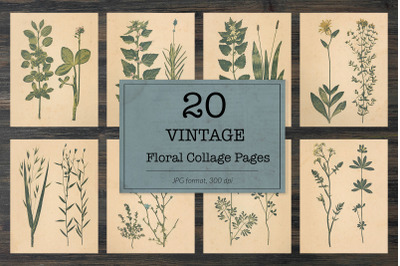 Vintage plants, floral images