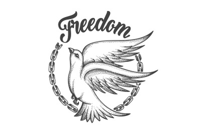 Freedom dove with broken chain and wording Freedom. Freedom concept Ta