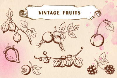 Set of Hand Drawn Vintage Fruits