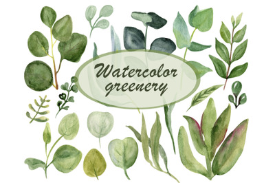 Watercolor floral greenery clipart, Leaf clip art