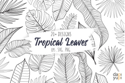 Tropical Leaves Line Art Graphic Element