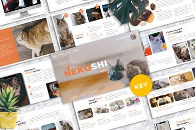 Nekoshi - Pet Business Keynote Presentation