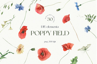Poppy Field Watercolor Elements