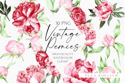 Watercolor boho peonies clipart, Watercolor burgundy and blush flowers png, Floral boho wedding clipart, Mother&#039;s Day card diy