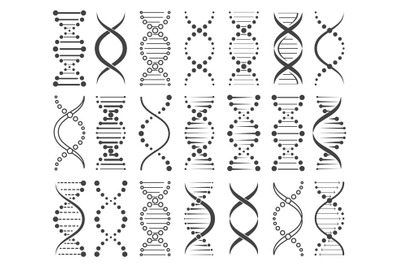 Structure of chromosomes sketch