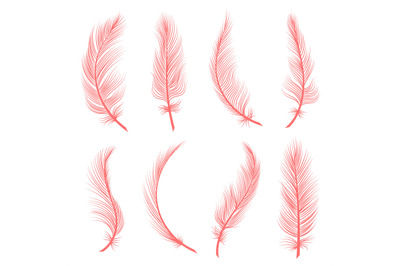 Decorative pink feathers