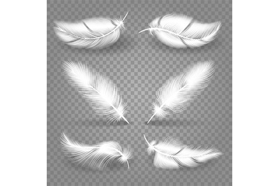 Realistic white feathers