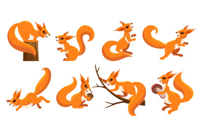 Funny squirrel set