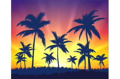 Tropical trees silhouettes on sunset