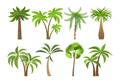 Isolated coconut palm trees