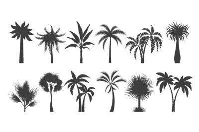 Palm tree silhouette drawings