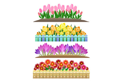 Spring flowers garden isolated