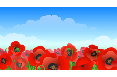 Illustrated poppy field landscape