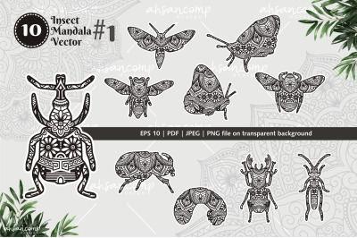 Insect Mandala Vector Line Art Bundle